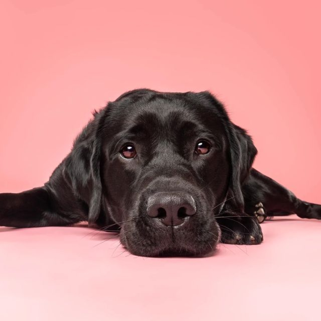 Coco 2